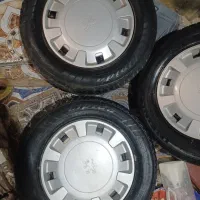 لاستیک پژوهی و ظبط