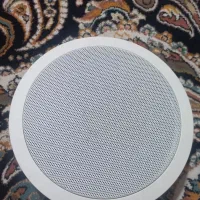 اسپیکر سقفی