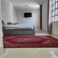 اجاره روزانه/هفتگی/ماهانه در شاهچراغ|اجارهٔ کوتاه‌مدت آپارتمان و سوئیت|شیراز, شاهچراغ|دیوار
