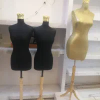 مانکن سوزن خور و عادی