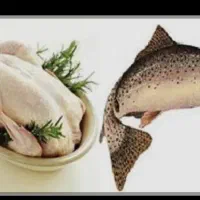قطعه کار مرغ و ماهی