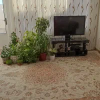 تلویزیون به همراه میز