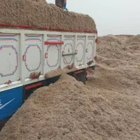 فروش باگاس یا کاه نیشکر جایگزین کامل کاه گندم|لوازم جانبی حیوانات|اصفهان, باغ فدک|دیوار