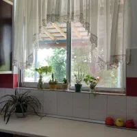 اجاره روزانه/ماهانه/ویلا نزدیک رشت حتی نصف روز|اجارهٔ کوتاه‌مدت ویلا و باغ|رشت, پسیخان|دیوار