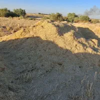 کاه گندم درجه یک