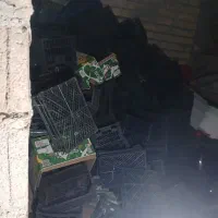 فروش سبدمیوه
