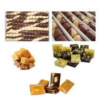 مشارکت در تولید