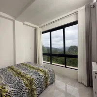 کلبه چوبی با ویو جنگلی در منطقه لفور|اجارهٔ کوتاهمدت ویلا و باغ|آلاشت, |دیوار