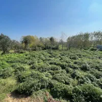 اجاره اپارتمان ۱۰۰ متری راه جدا با در بازکیاگوراب|اجارهٔ آپارتمان|لاهیجان, بازکیاگوراب|دیوار