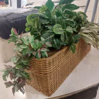فلاور باکس زیبای تمام چوب حصیری خارجی