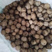 گردوشاهجهان|خوردنی و آشامیدنی|شیروان (خراسان), |دیوار