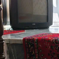 تلویزیون
