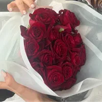 ۲۰ شاخه گل رز ۵۰۰ تومن