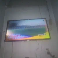 تلویزیون 43اینچ تی سی ال|تلویزیون و پروژکتور|خمام, |دیوار