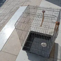 قفس پرنده|لوازم جانبی حیوانات|رباطکریم, کاظمآباد|دیوار