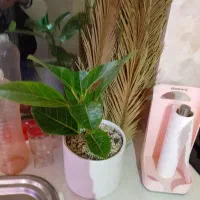 به دو نفر منشی خانم به طورر پاره وقت نیازمندیم