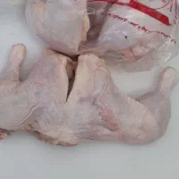 ران مرغ گرم و بوقلمون تازه