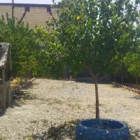 اجاره کوتاه مدت