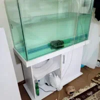 اکواریم و ماهی