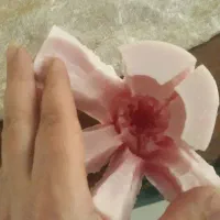 قالب سیلیکونی|صنایع دستی و سایر لوازم تزئینی|تهران, صد دستگاه|دیوار