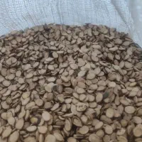 تخمه هندوانه