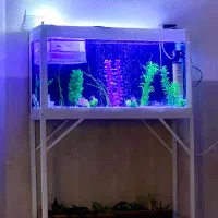 اکواریوم با پایه