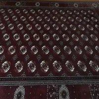 فرش|فرش|آق قلا, |دیوار