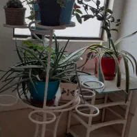 استند گل فرفوژه