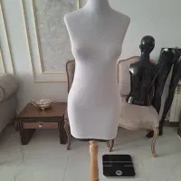 سه عدد مانکن|فروشگاه و مغازه|مشهد, شهرک رازی (شهرک غرب)|دیوار