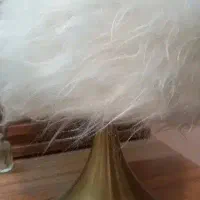 ۴۵ سانت موی کات شده