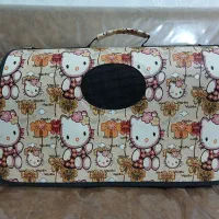 کیف گربه یاسگ|لوازم جانبی حیوانات|فولادشهر, A2|دیوار