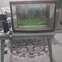اکواریوم باهمه وسایلاش بخاری  مهتابی هواکش