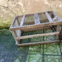 فروش دو عددقفس مرغ و حیوانات هردو با هم 800000|لوازم جانبی حیوانات|رشت, کاکتوس|دیوار