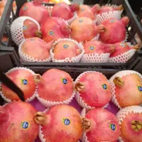 انار درجه یک