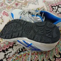 کفش|کیف، کفش، کمربند|همدان, |دیوار