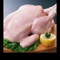 توزیع مرغ ران شینسل ران سایز بال وپاچین