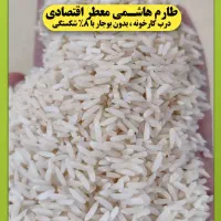 برنج هاشمی مستقیم از شمال ( کیلو۲۹۵ + کرایه)