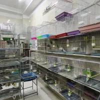 پرنده سرای عرفان