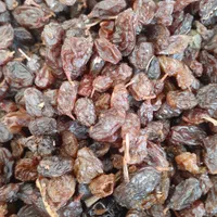 پخش انواع کشمش، با تخفیفات ویژه|خوردنی و آشامیدنی|تاکستان, |دیوار