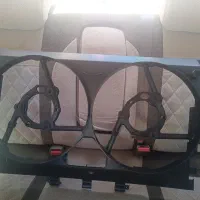 سینی فن پیچی زانتیا