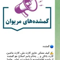 کیف مدارک گم شده