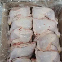 همکار قطعه بندی مرغ