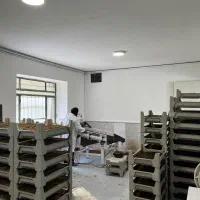 نیروی خانم مرکز تحقیقات کشاورزی طرق