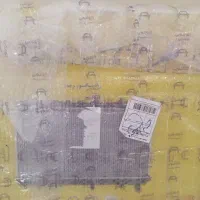 رادیاتور ریو دنده‌ای کوشش رادیاتور