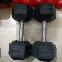 یه جفت دمبل 10کیلویی . یه جفت دمبل ۱۲/۵کیلویی