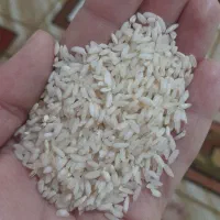 برنج عنبربو درجه یک