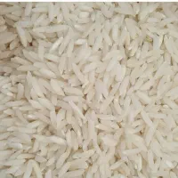 برنج هاشمی درجه یک سورتینگ و بسته بندی شده|خوردنی و آشامیدنی|آستانه اشرفیه, |دیوار