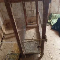 معاوضه با هر کالایی|لوازم جانبی حیوانات|میناب, |دیوار