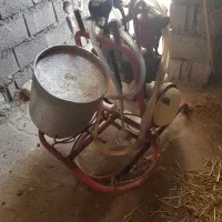 شیردوش