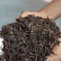 چای لاهیجان قلم درشت
